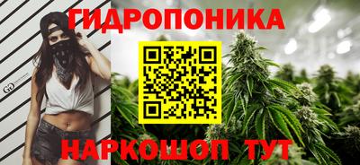 ECSTASY Тверь