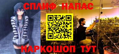 ECSTASY Тверь