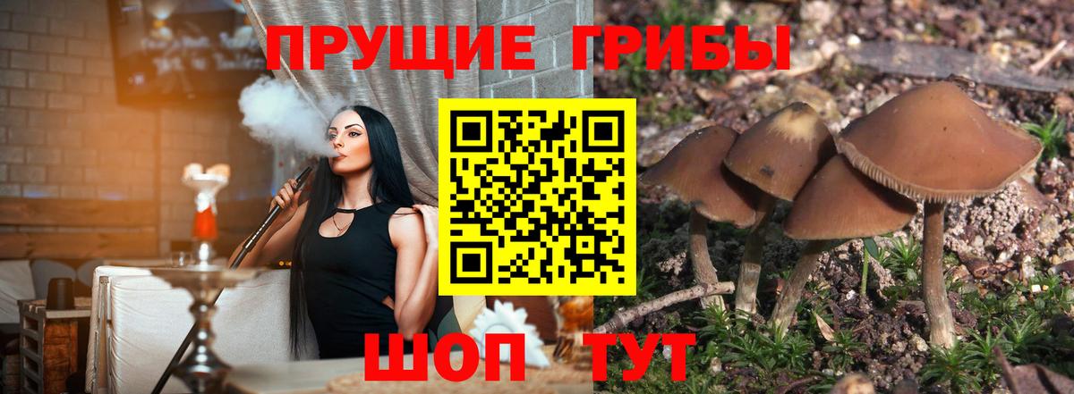 Галлюциногенные грибы мицелий Усинск